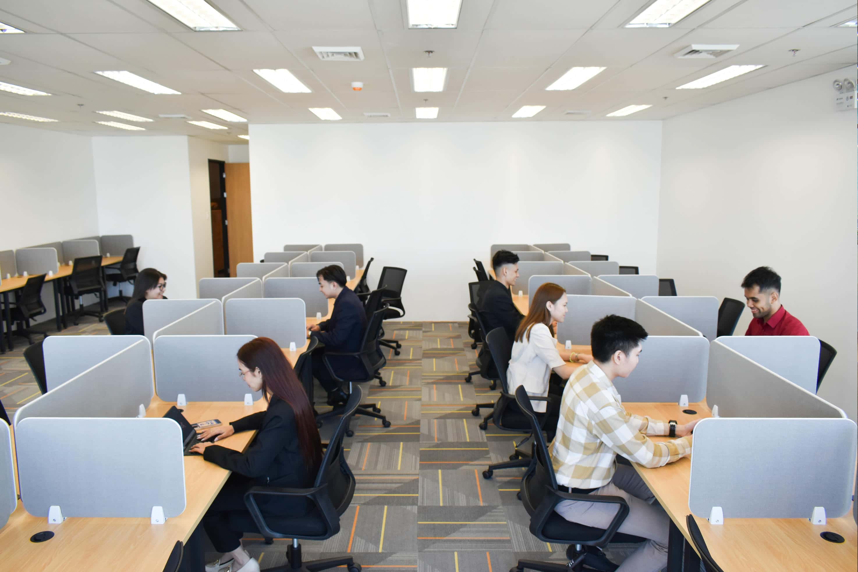 Team members working at individual office workstations